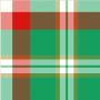 medvyedtartan.png